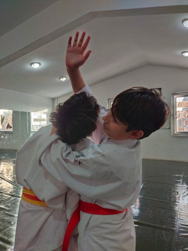 çocuk aikido eğitimi antalya