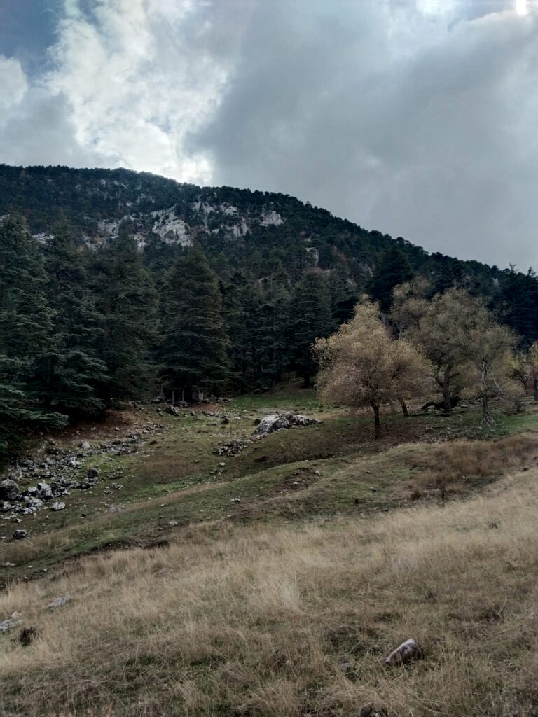 geyikbayırı antalya yaz kampı aikizen survival camp