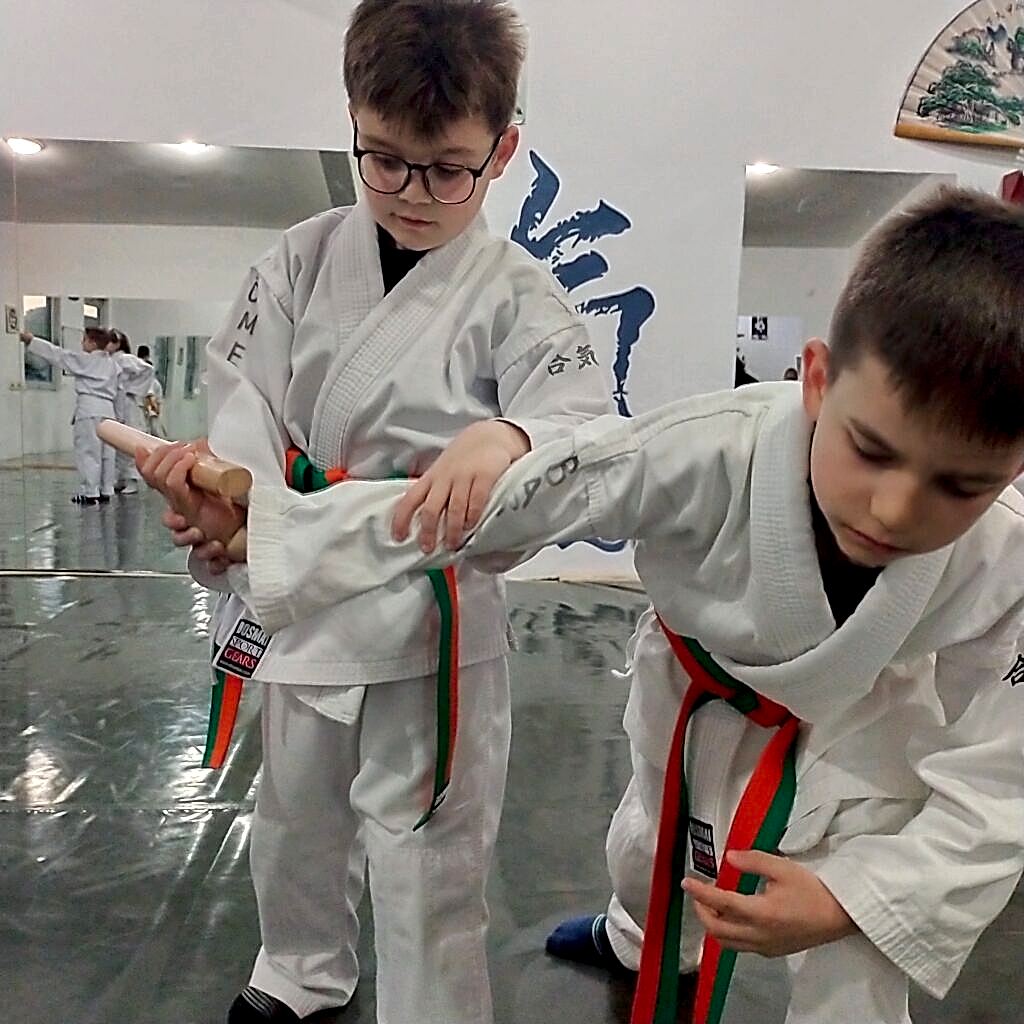 çocuk aikido eğitimi antalya